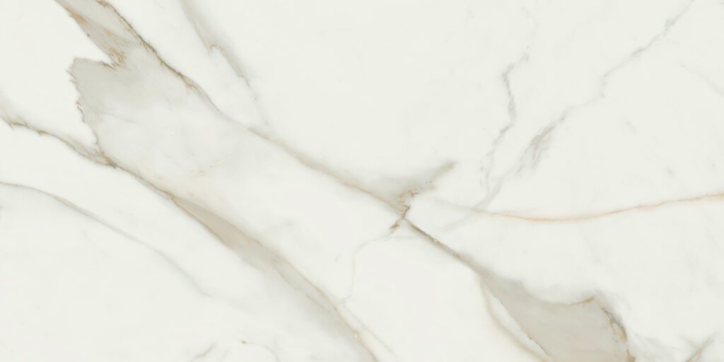 Calacata Gold 24x48