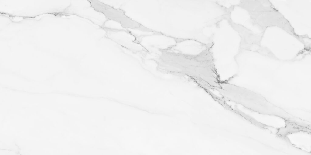 Calacata White 24x48